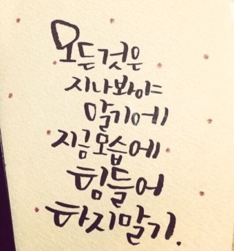사용자가 올린 이미지