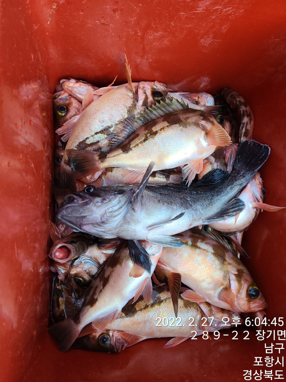 j_4d7Ud018svc10xc503inq25n_9bt2m0.jpg