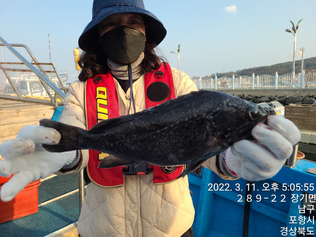 1_142Ud018svc18aktyq50nuqs_9bt2m0.jpg