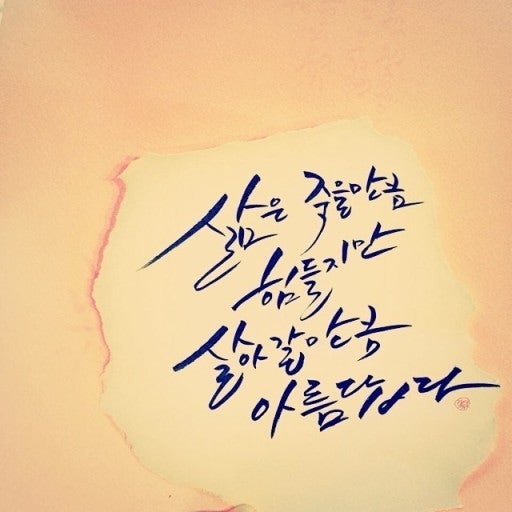 사용자가 올린 이미지