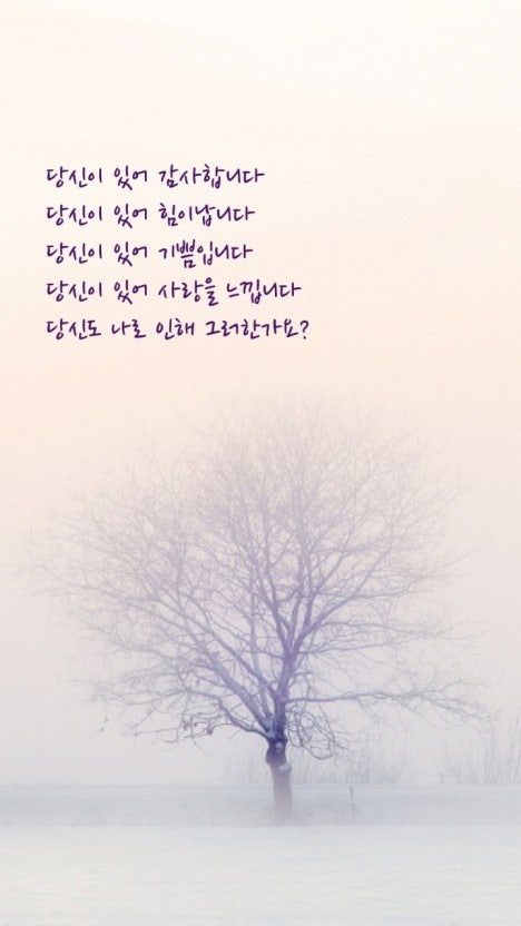 사용자가 올린 이미지