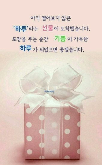 사용자가 올린 이미지