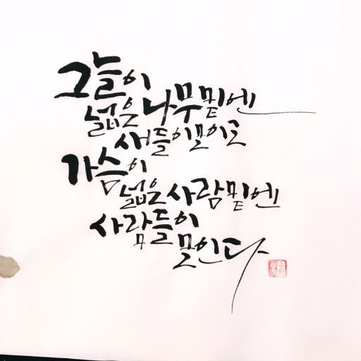 사용자가 올린 이미지