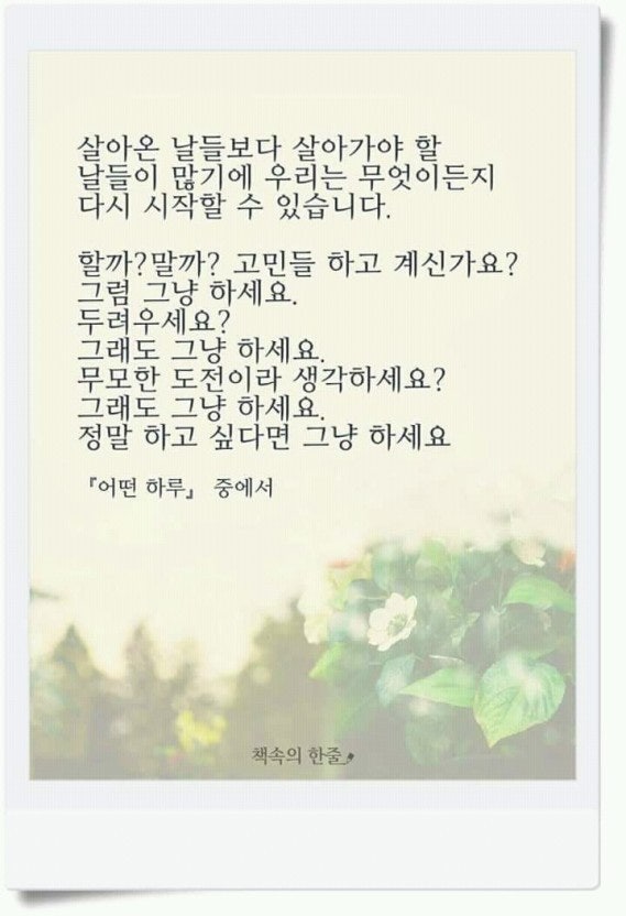 사용자가 올린 이미지
