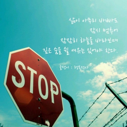 사용자가 올린 이미지