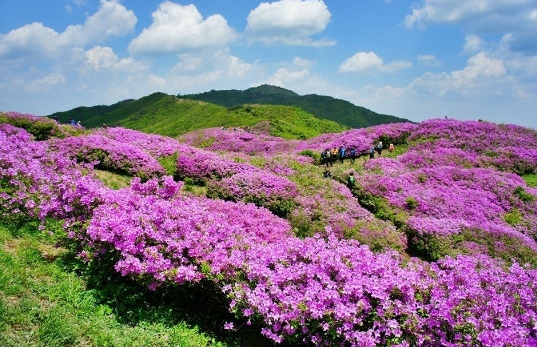 사용자가 올린 이미지