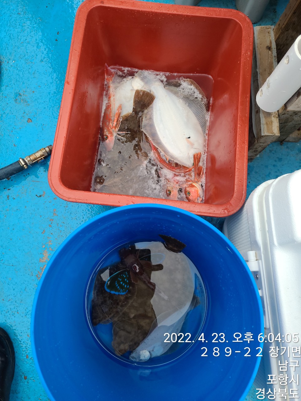 0_c77Ud018svc18cpqo9mgxomc_9bt2m0.jpg