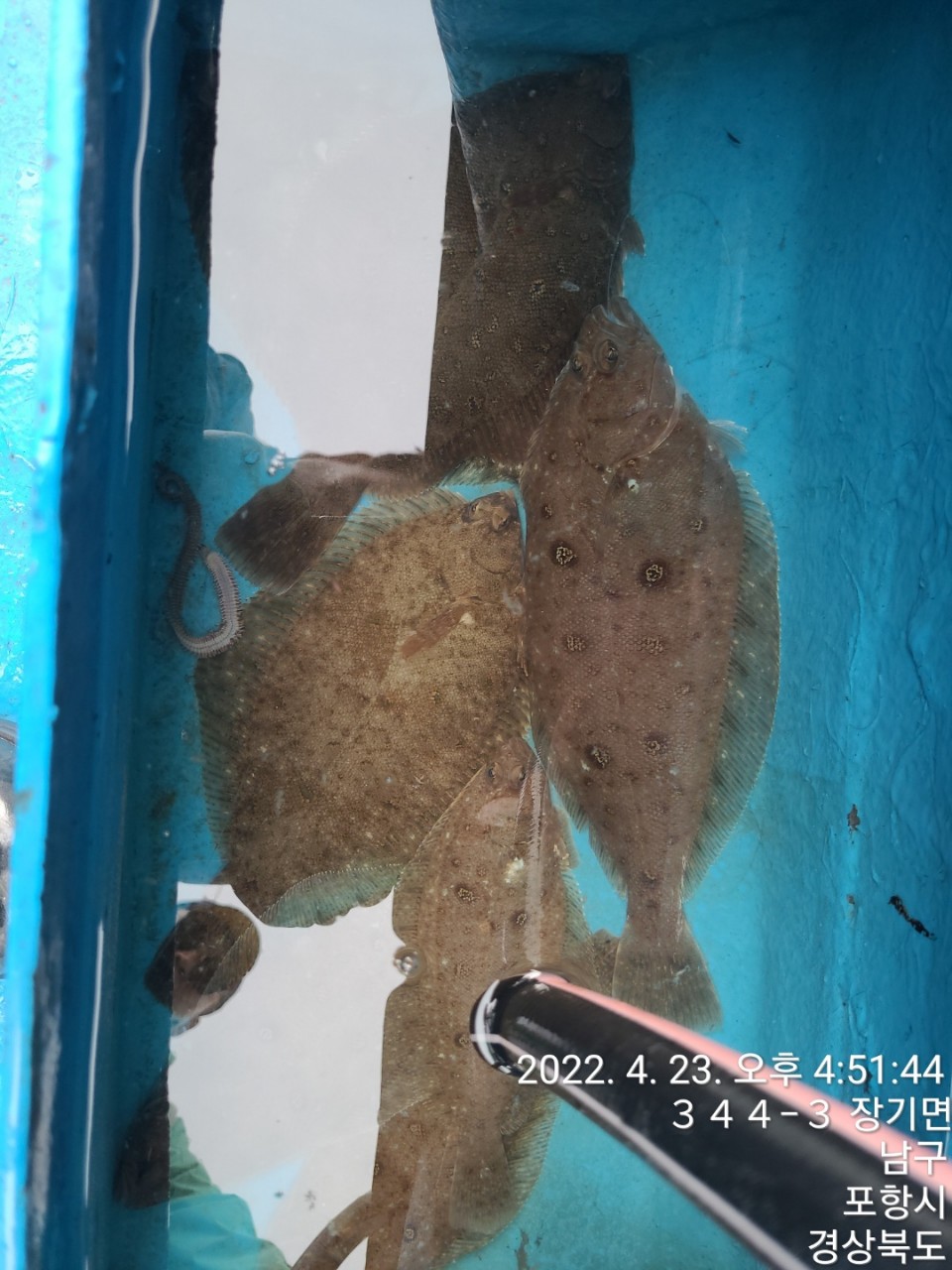 f_e34Ud018svcae4k8or1888n_qs86qm.jpg
