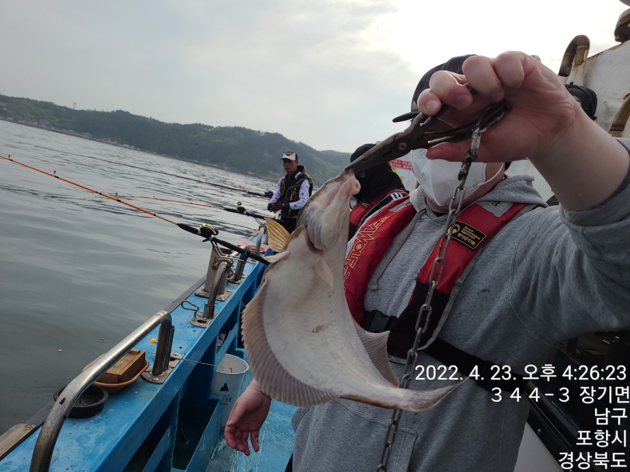 f_d34Ud018svc872c3u6cvbbw_qs86qm.jpg