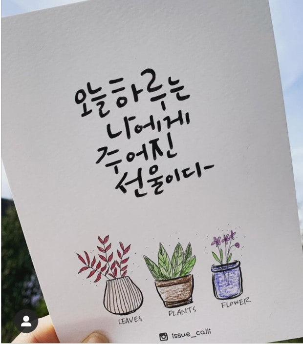 사용자가 올린 이미지