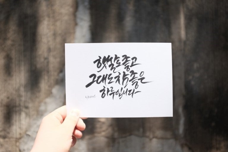 사용자가 올린 이미지