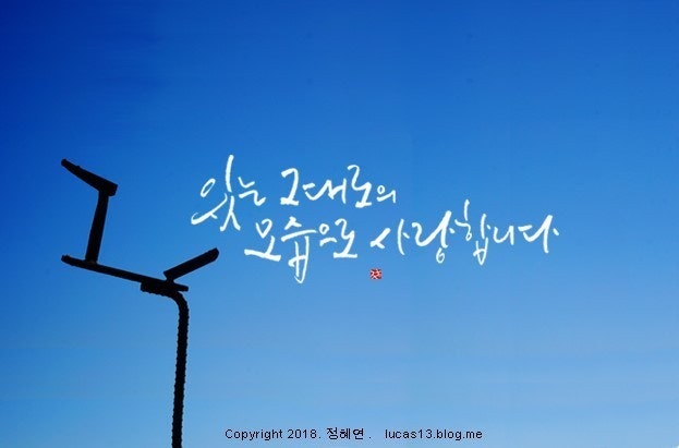 사용자가 올린 이미지