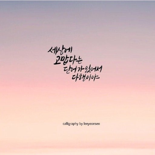 사용자가 올린 이미지