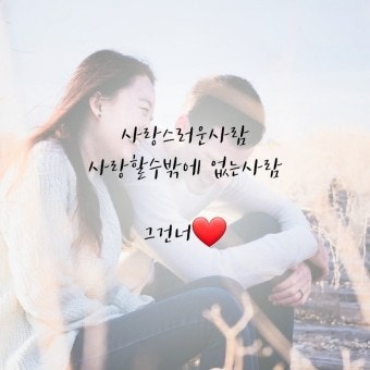 사용자가 올린 이미지