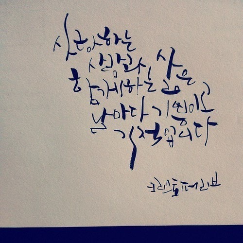 사용자가 올린 이미지
