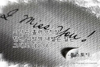 사용자가 올린 이미지