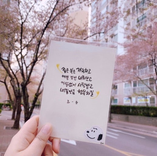 사용자가 올린 이미지