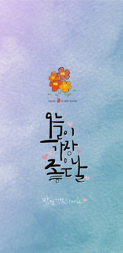 사용자가 올린 이미지