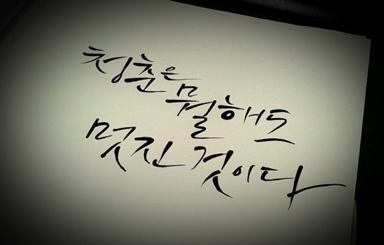 사용자가 올린 이미지