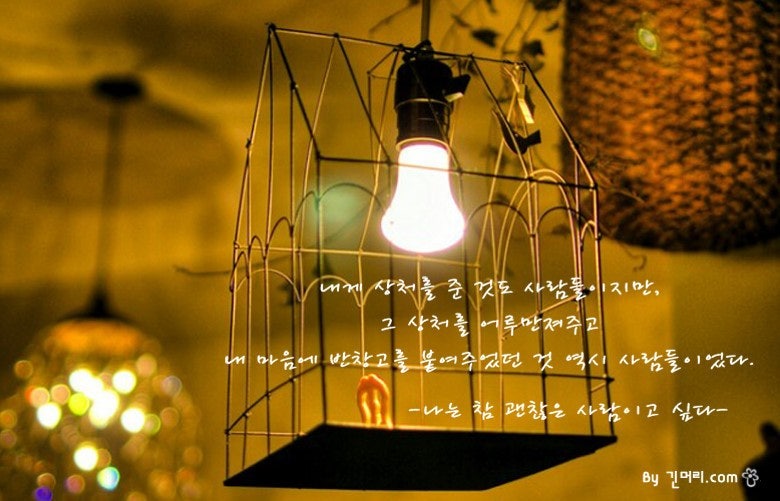 사용자가 올린 이미지
