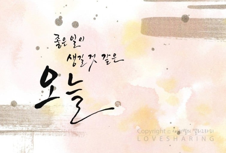 사용자가 올린 이미지
