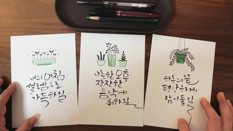 사용자가 올린 이미지