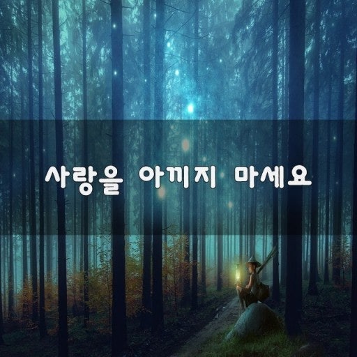 사용자가 올린 이미지