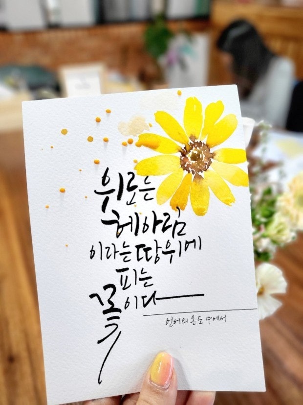 사용자가 올린 이미지