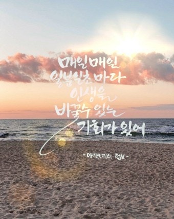 사용자가 올린 이미지