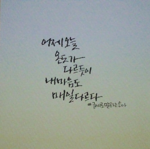 사용자가 올린 이미지