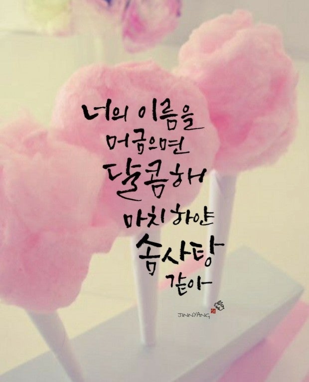 사용자가 올린 이미지