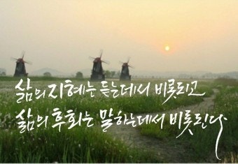 사용자가 올린 이미지