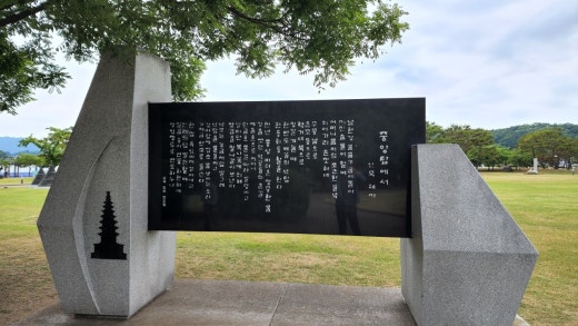 뿌리의상실 이미지