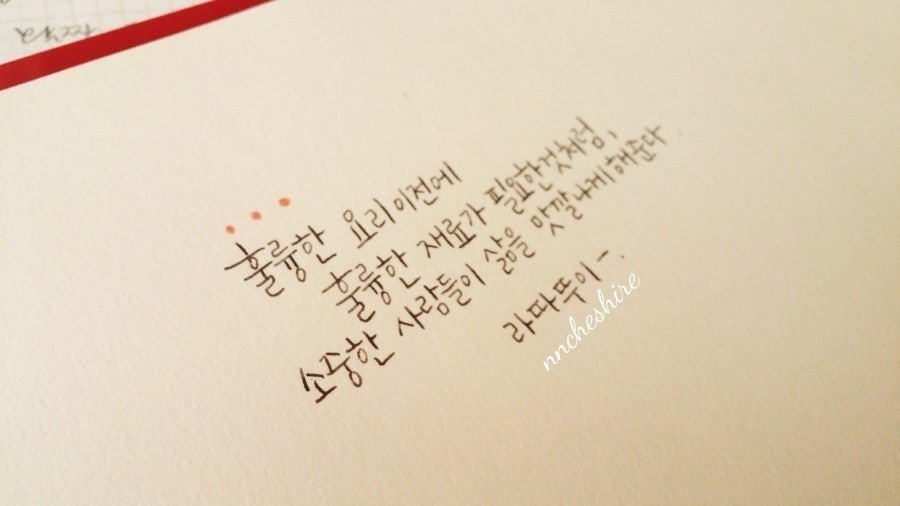 사용자가 올린 이미지