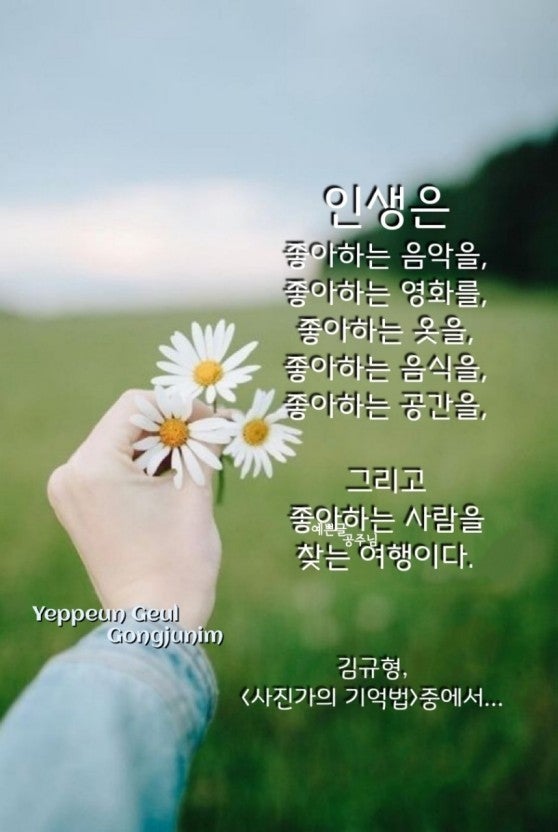 사용자가 올린 이미지