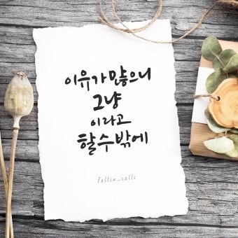 사용자가 올린 이미지
