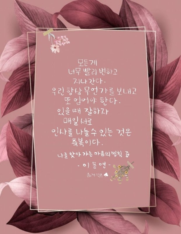 사용자가 올린 이미지