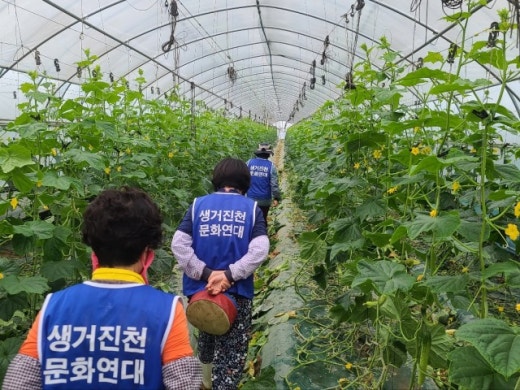 사진