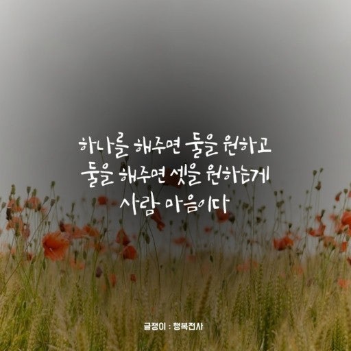 사용자가 올린 이미지
