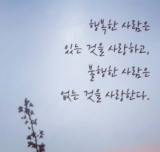 사용자가 올린 이미지