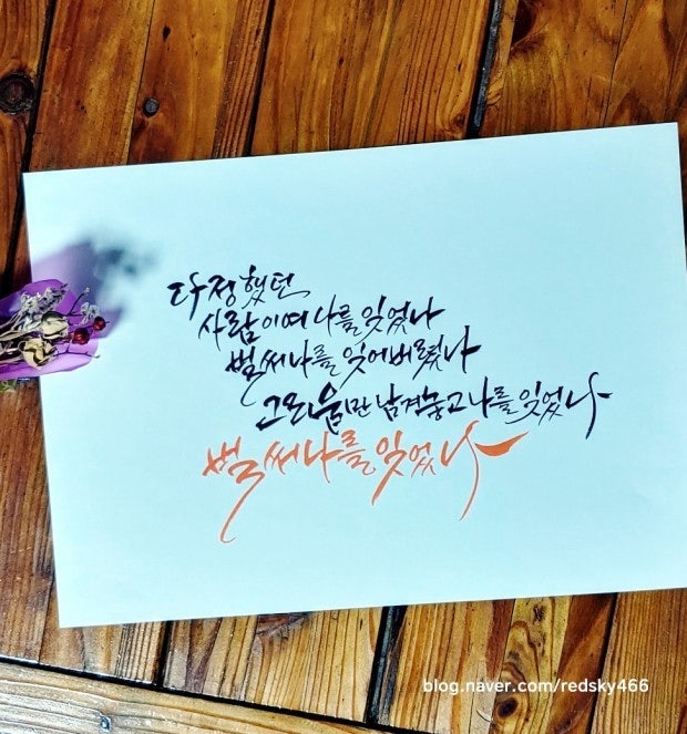 사용자가 올린 이미지