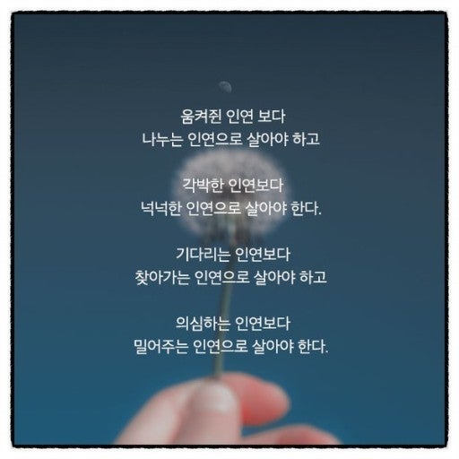 사용자가 올린 이미지
