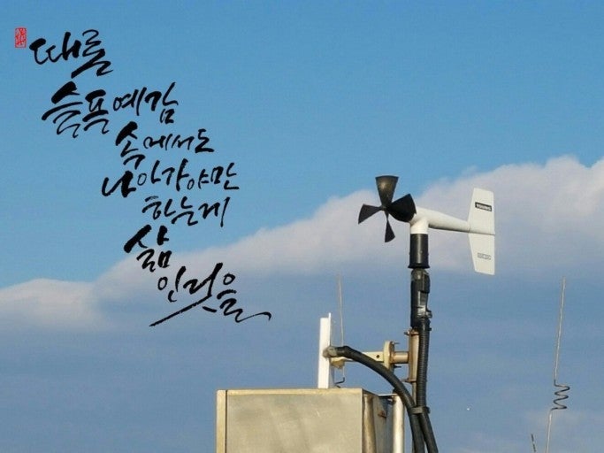 사용자가 올린 이미지