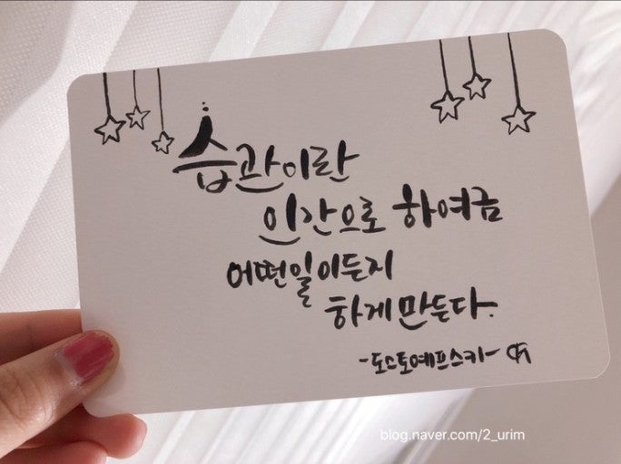 사용자가 올린 이미지
