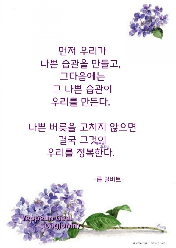 사용자가 올린 이미지