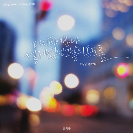 사용자가 올린 이미지