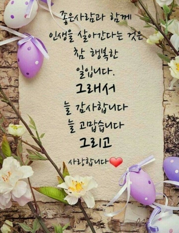사용자가 올린 이미지