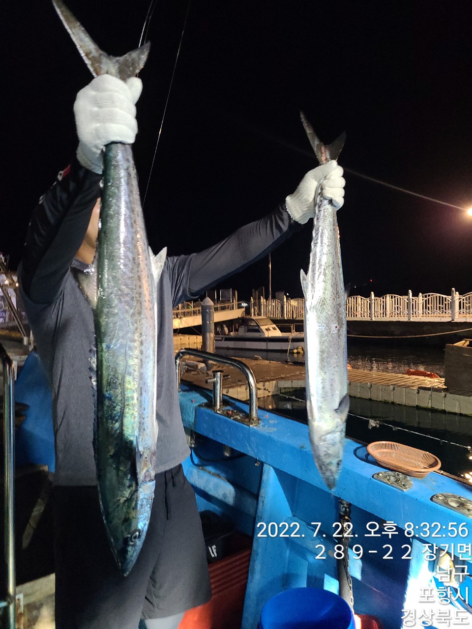 f_g69Ud018svc1slitw8b89g5u_9bt2m0.jpg