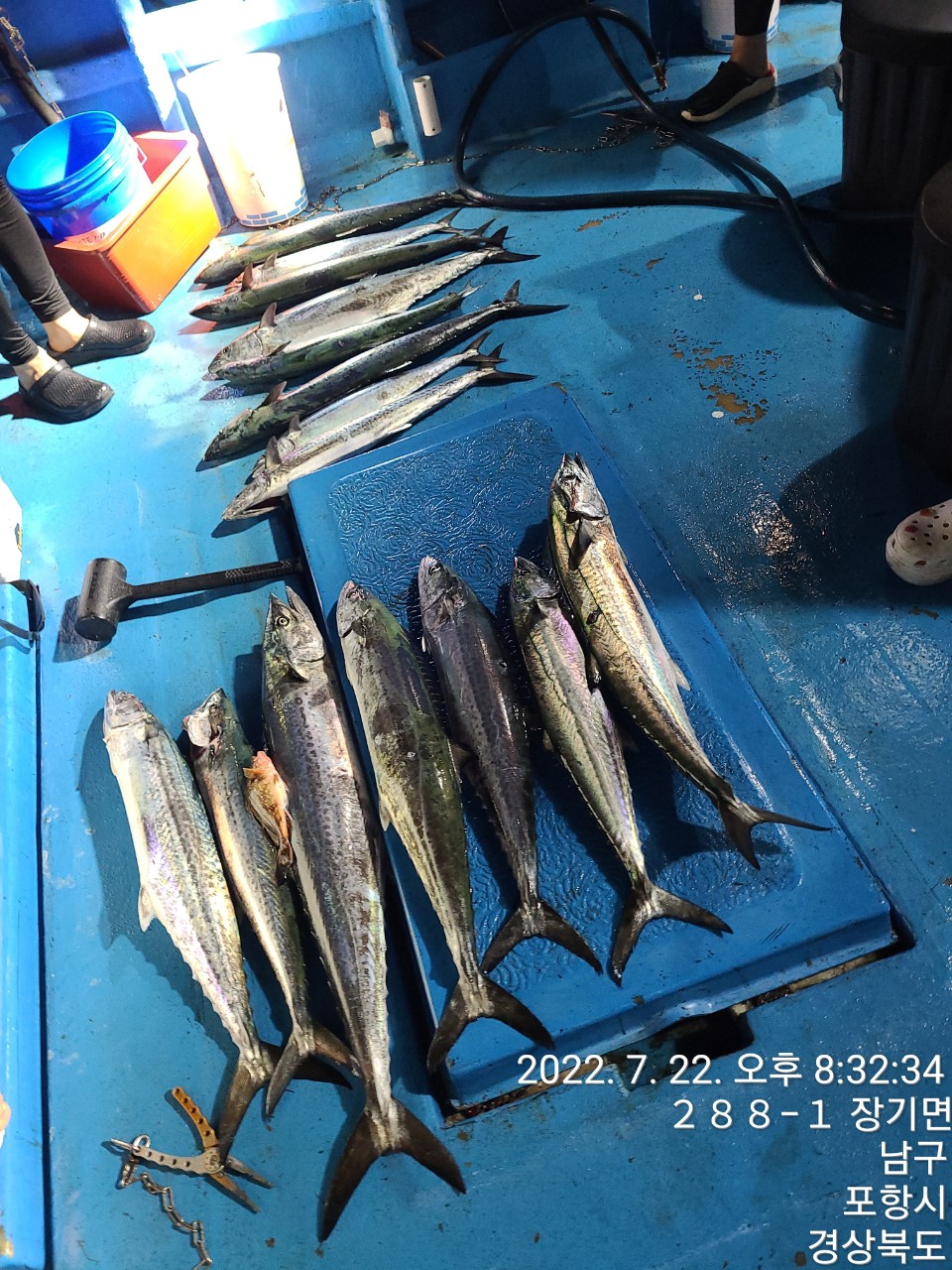 f_g69Ud018svc16tl9bvud29rd_9bt2m0.jpg