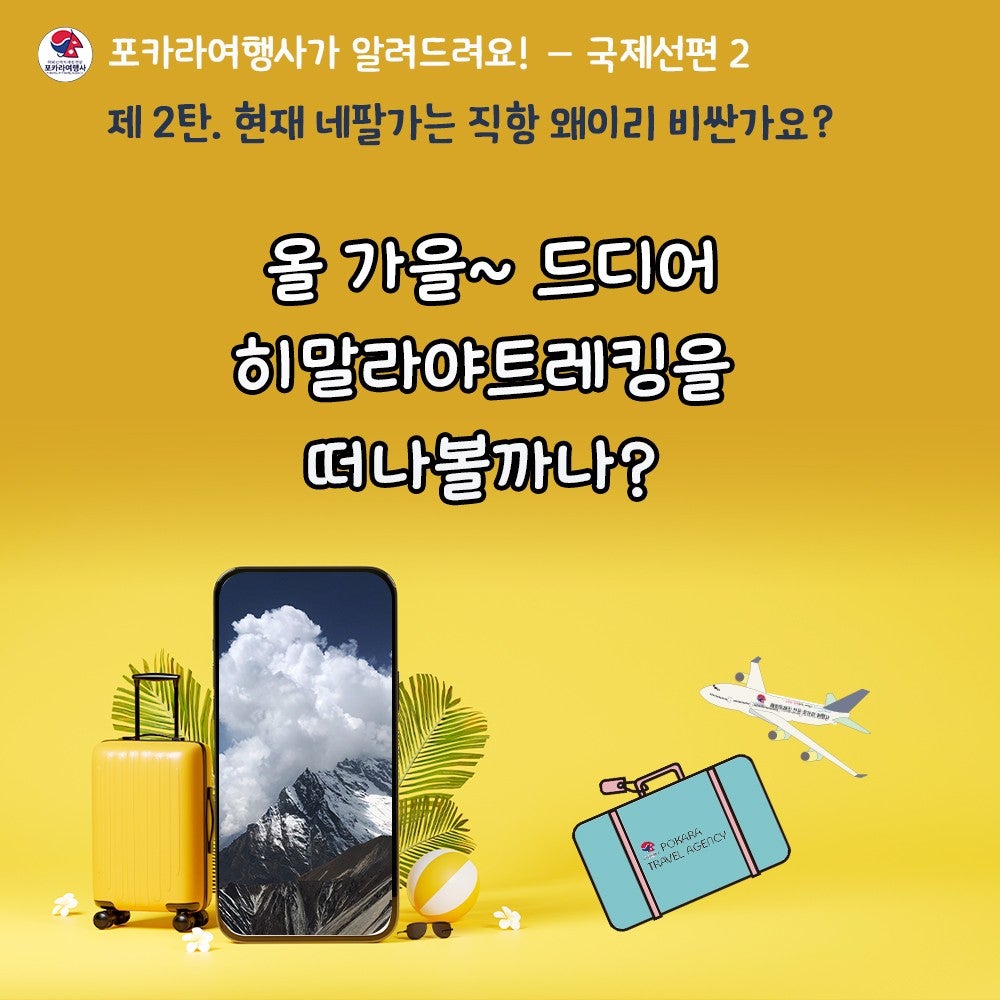 대한국제여행사 이미지